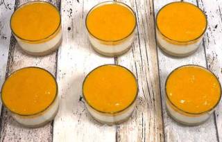 Apricot Yogurt Cup recipe