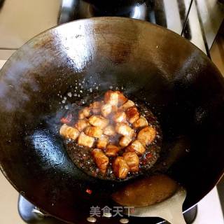 Braised Pork with Tofu in Oil recipe