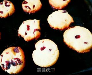 Cranberry Cookies recipe