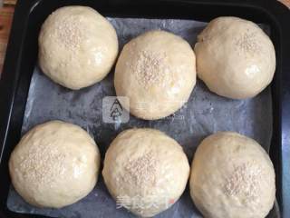 Bread with Beans--mung Bean Paste Bread recipe