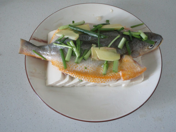 Steamed Tofu with Small Yellow Croaker recipe