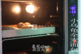 #aca烤明星大赛#little Tortoise Whole Wheat Bread recipe