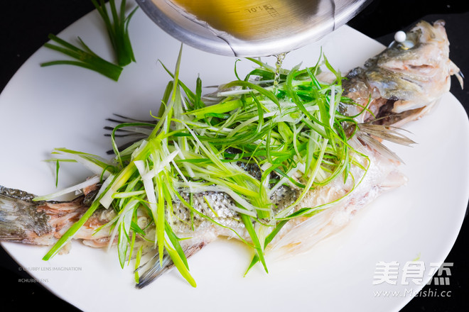 Steamed Fresh Fish, Perfect Tutorial recipe