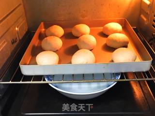 Whole Wheat Meal Buns recipe
