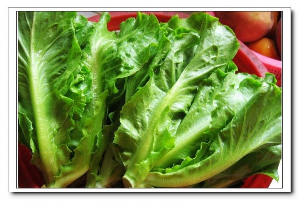 Peanut Mixed Lettuce recipe