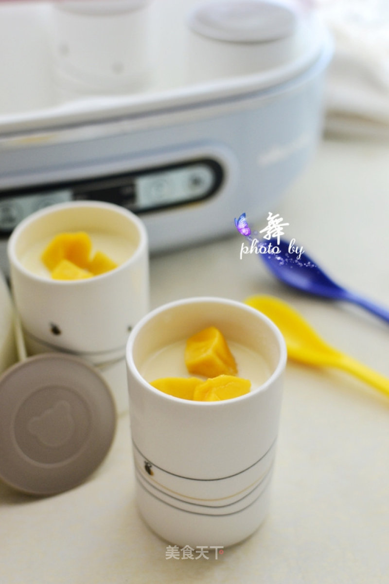 Homemade Cups of Thick Yogurt recipe