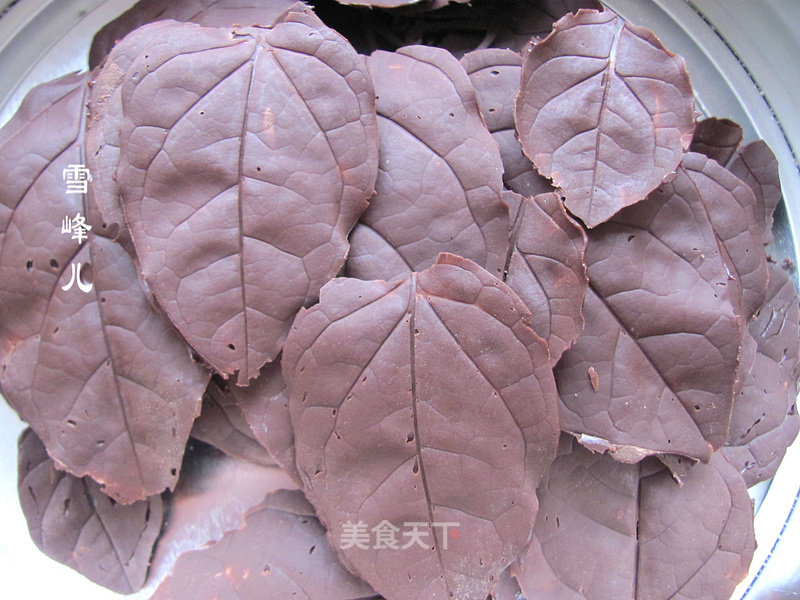 The Making of Chocolate Leaves recipe