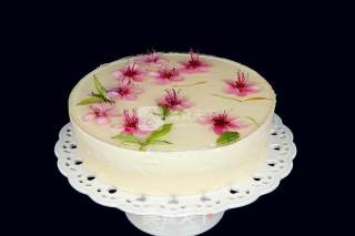 Peach Blossom Yogurt Cheese Mousse Cake recipe