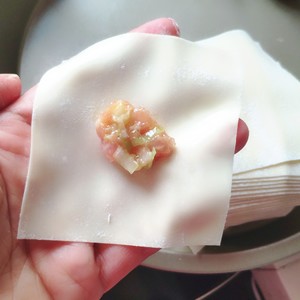 Invincible Breakfast ~ ~ Small Wonton recipe