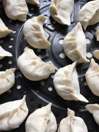 Octopus Dumplings recipe