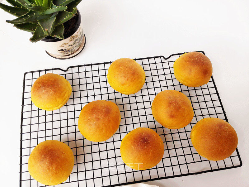 Pumpkin Meal Buns recipe