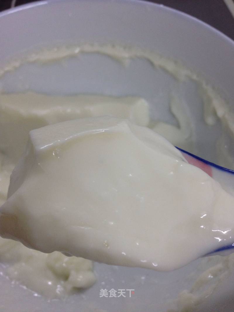 Milk Pudding (double Skin Milk?) recipe