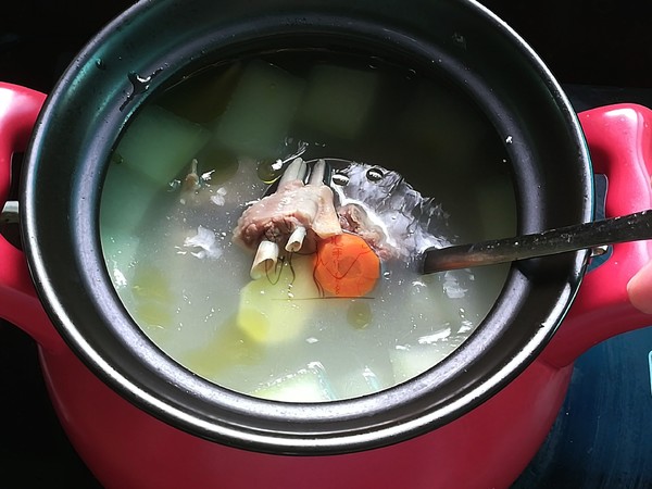 Horseshoe, Winter Melon, Barley, Duck Soup recipe