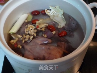 Nutritional Pigeon Soup recipe