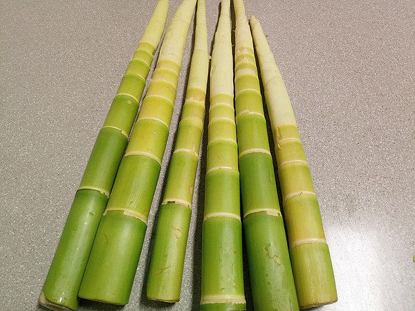 Cold Bamboo Shoots recipe