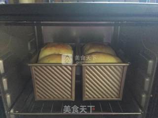 #aca婚纱明星大赛#cranberry Milk Toast ~ Bread Machine + Oven Simple and Comprehensive Method recipe