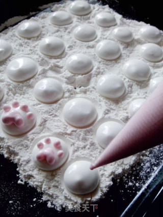 Cat's Claw Marshmallow recipe