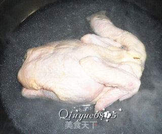 Codonopsis and Wolfberry Chicken Soup recipe