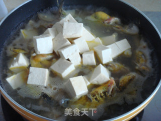 Yellow Bone Fish Tofu Soup recipe