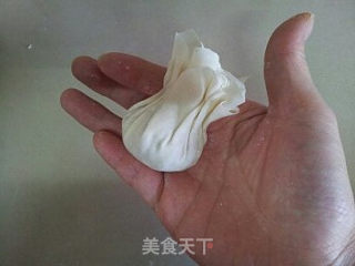 Another Way to Eat Wontons-ruyi Pocket recipe