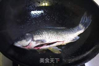 Milky Crucian Carp Soup recipe