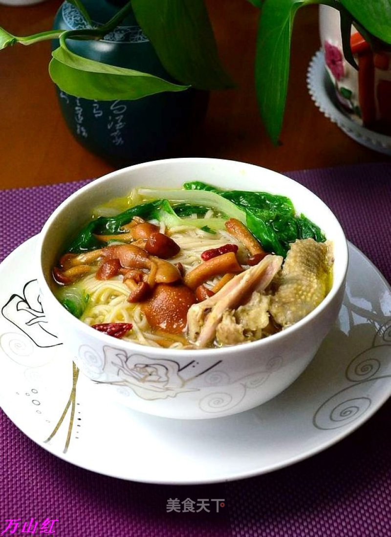 Mushroom Chicken Noodle Soup