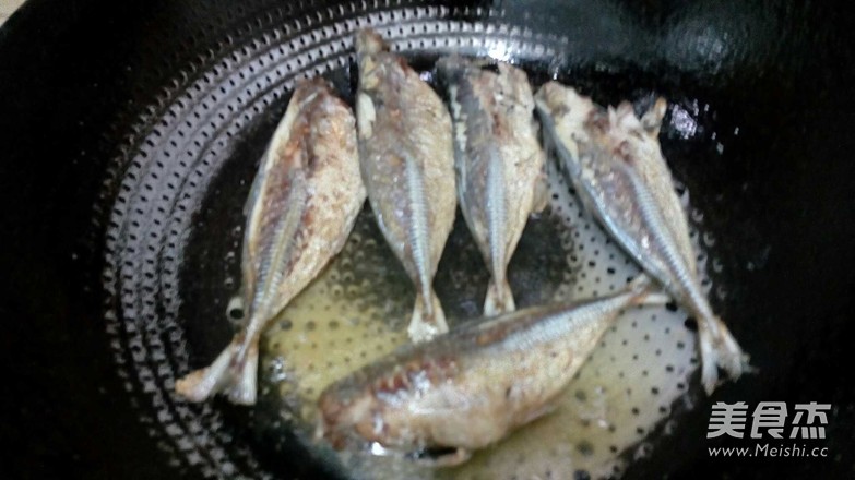 Tomato Sardines recipe