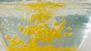 Four-person Chef丨"xiaoshu" Food Recommendation recipe