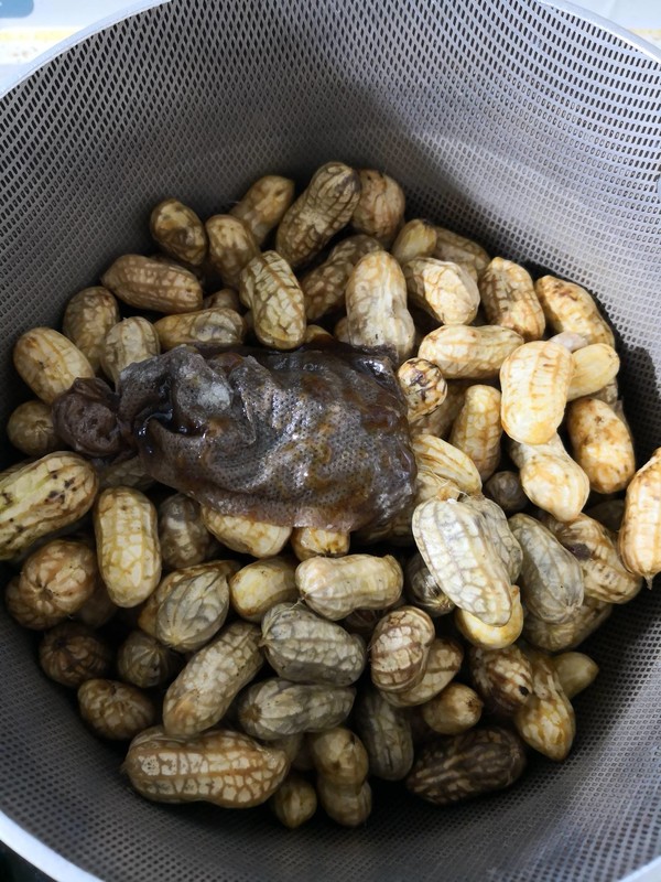 Braised Peanuts recipe