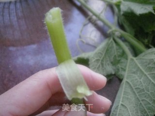 Green Fried Pumpkin Seedlings recipe