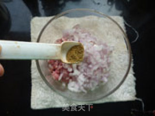 Lamb Fried Dumplings recipe