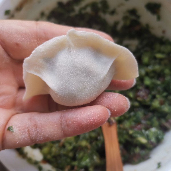 Fennel Dumplings recipe