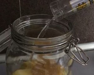 Pineapple Wine/vodka 40° Waiting for Maturation (fastest 1 Month) recipe