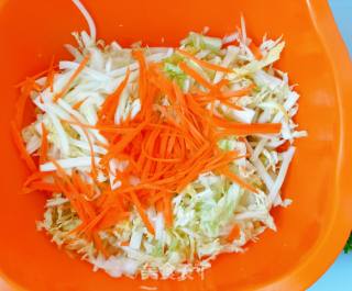 Shredded Cabbage recipe