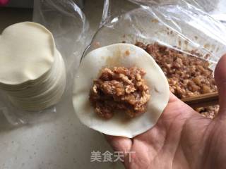 【jiangsu】pork Dumplings recipe