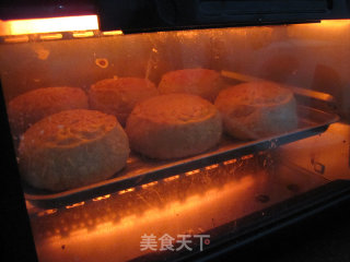 Crispy Five-ren Dried Apricot Mooncake recipe