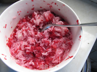 Bayberry Fermented recipe