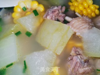 Winter Melon Corn Chicken Soup recipe