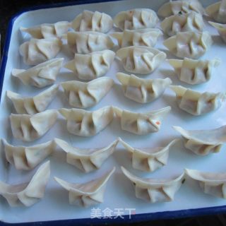 Fried Dumplings recipe