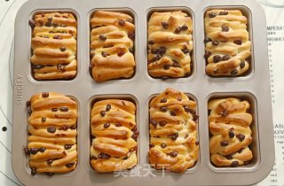 Condensed Milk, Honey Beans and Cranberry Meal Buns recipe