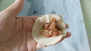 Steamed Dumplings with Fresh Meat recipe