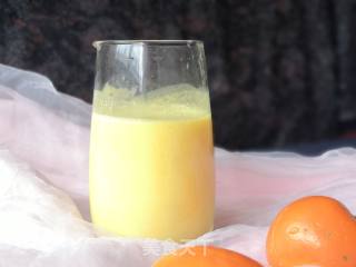 Yogurt Navel Orange Juice recipe