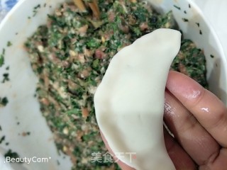 Shepherd's Purse Dumplings recipe