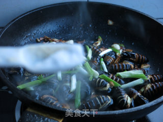 Fried Cocoon Pupae with Chives recipe