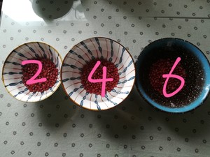 About Red Bean Rice Dumplings-an Experiment on The Soaking Time of Red Beans recipe