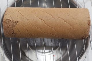 Dream Dragon Cake Roll recipe