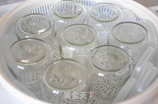 Homemade Delicious Bottled Yogurt recipe