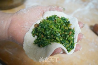 Alfalfa Pork Steamed Dumplings recipe