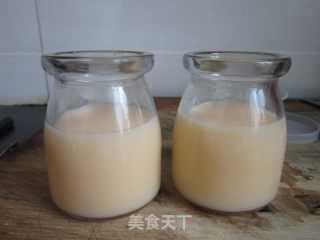 Mango Milk Pudding recipe