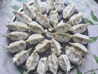 Leek and Pork Dumplings (two Filling Methods) recipe